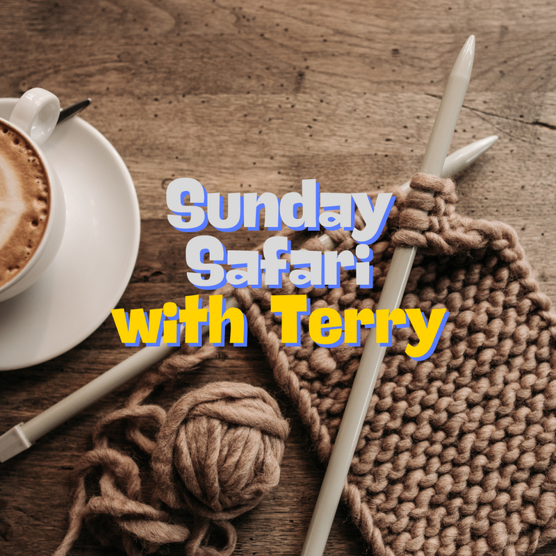 Sun Safari Group Knit Class 1P – 3P