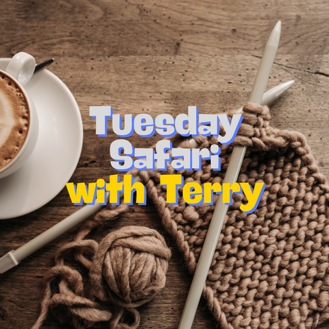 Tue Safari Group Knit Class 10AM-12PM with Terry Cammack