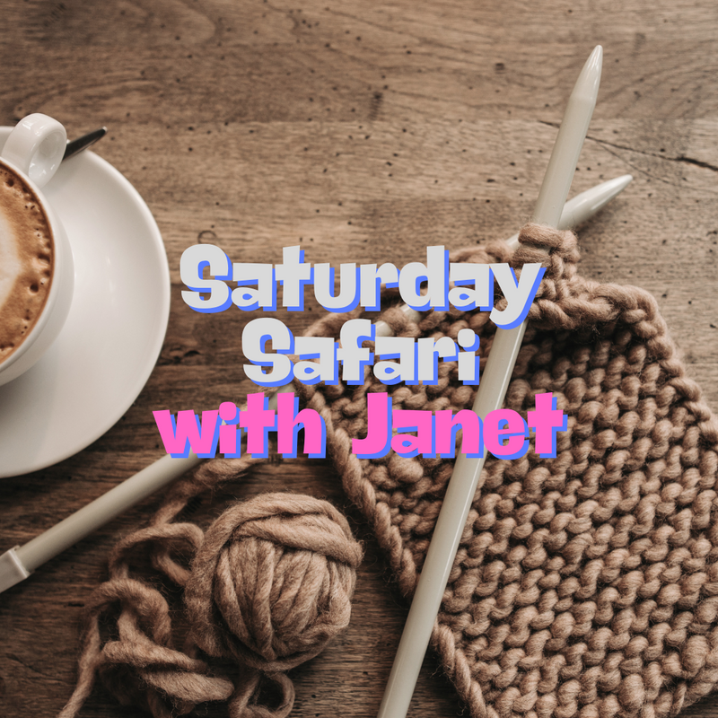 Sat Safari Group Knit Class 11A – 1P with Janet Bowen